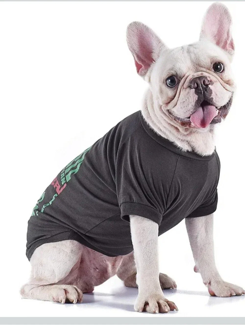 BOBAFETT Mandalorian Graphic Dogs Tee - Dark Gray with Mint & Coral Print